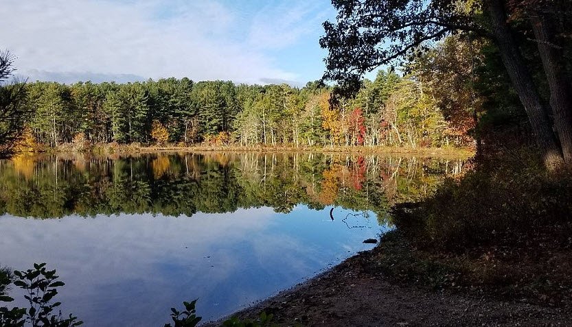 Wells State Park, Massachusetts, USA